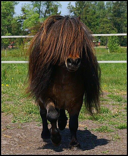 17796670 230711517405106 1653386055793577557 n - 