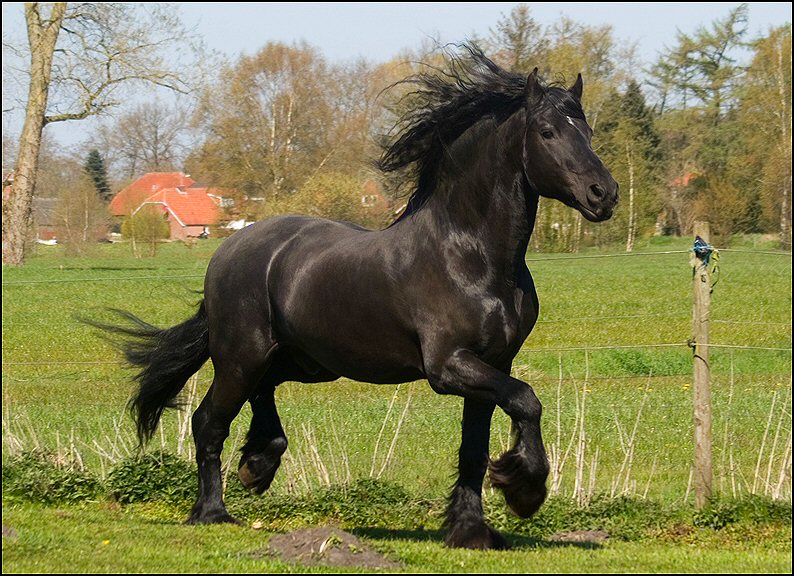 20 - Wessel 28 april