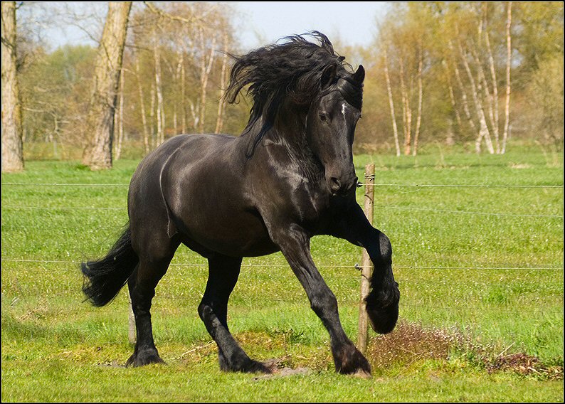 26 - Wessel 28 april