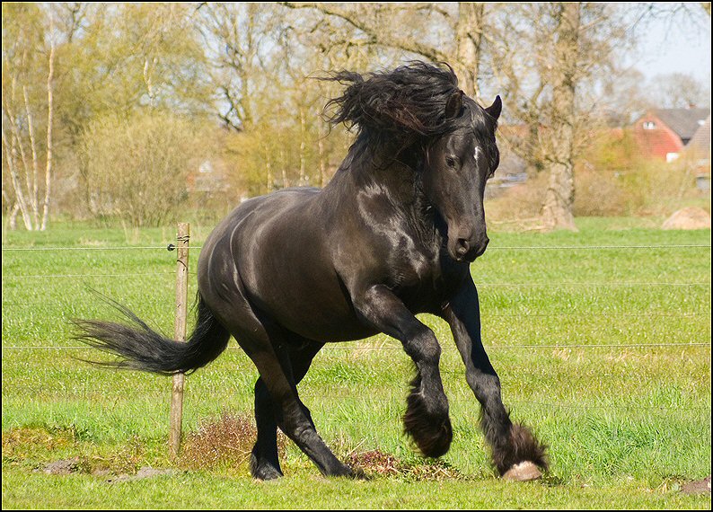 37 - Wessel 28 april