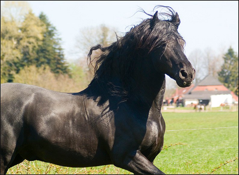 39 - Wessel 28 april