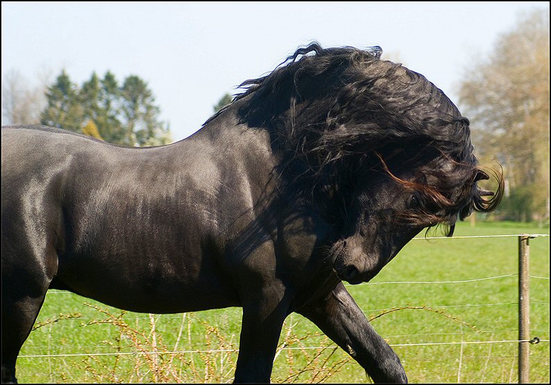 40 - Wessel 28 april