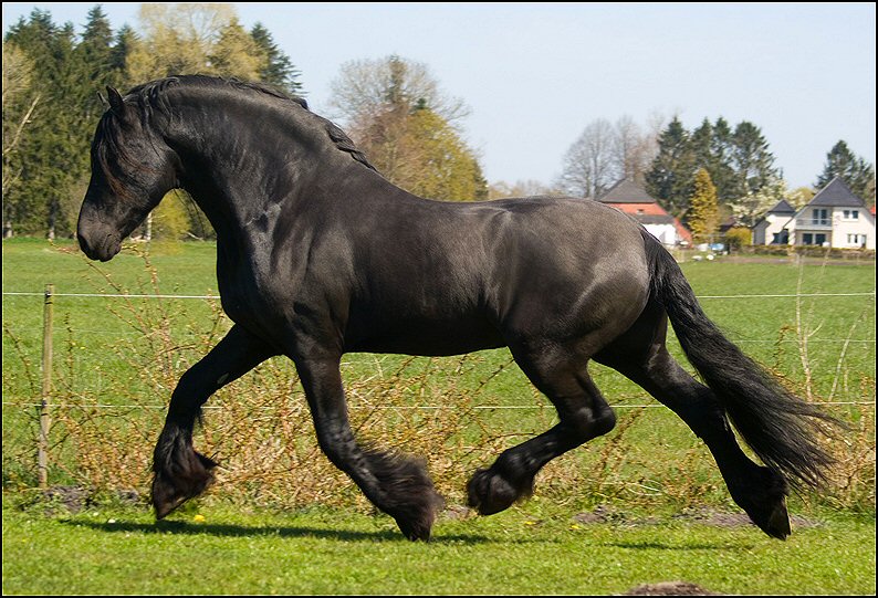 52 - Wessel 28 april