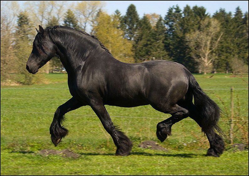 53 - Wessel 28 april