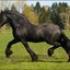 53 - Wessel 28 april