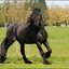 68 - Wessel 28 april