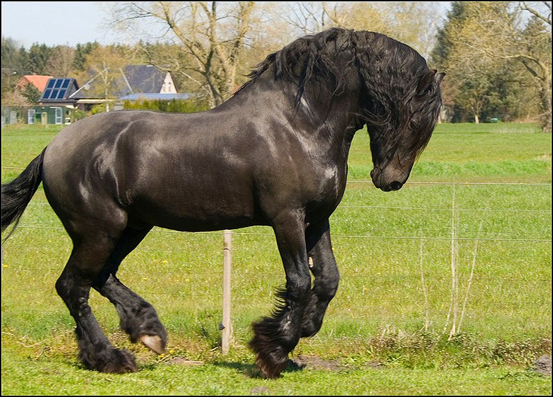 71 - Wessel 28 april