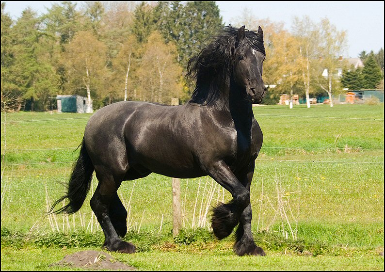 87 - Wessel 28 april