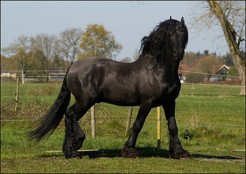 99 - Wessel 28 april