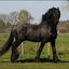 99 - Wessel 28 april