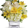 Send Flowers North Attlebor... - Flower Delivery in North At...