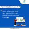What Data Scientists Do - D... - Image Submission