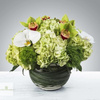 Order Flowers Phoenix AZ - Flower Delivery in Phoenix, AZ