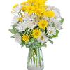Next Day Delivery Flowers L... - Flower Delivery in Lac la B...