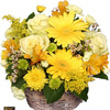 Buy Flowers Castleton-On-Hu... - Flower Delivery in Castleto...