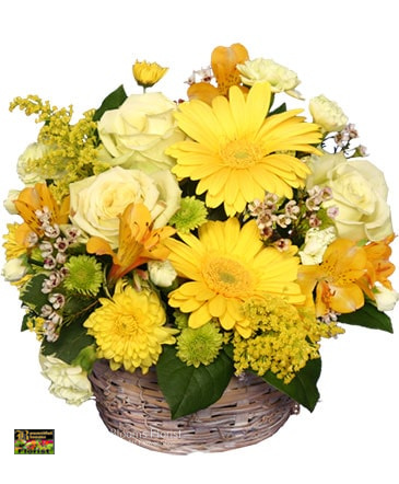Buy Flowers Castleton-On-Hudson NY Flower Delivery in Castleton-On-Hudson, NY