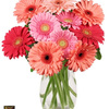 Flower Bouquet Delivery Cas... - Flower Delivery in Castleto...