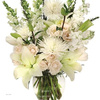 Buy Flowers Burlington VT - Flower Delivery in Burlingt...