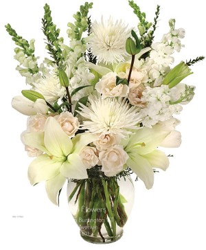Buy Flowers Burlington VT Flower Delivery in Burlington, VT