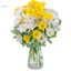 Same Day Flower Delivery Ro... - Flower Delivery in Rochester, NY