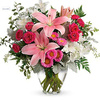 Christmas Flowers Rochester NY - Flower Delivery in Rocheste...