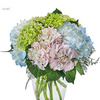 Flower Delivery Rochester NY - Flower Delivery in Rocheste...