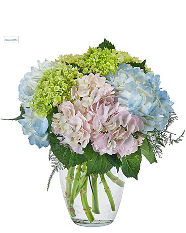 Flower Delivery Rochester NY Flower Delivery in Rochester, NY