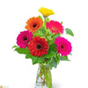 Same Day Flower Delivery Me... - Flower Delivery in Mesa, AZ