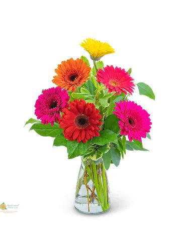 Same Day Flower Delivery Mesa AZ Flower Delivery in Mesa, AZ
