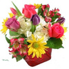 Valentines Flowers Pittsbur... - Flower Delivery in Pittsbur...