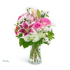 Christmas Flowers Pittsburg... - Flower Delivery in Pittsbur...