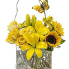 Mothers Day Flowers Alexand... - Flower Delivery in Alexandr...