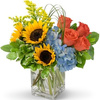 Valentines Flowers Alexandr... - Flower Delivery in Alexandr...