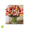 Flower Delivery in Philadel... - Flower Delivery in Philadel...