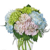 Funeral Flowers Elwood IN - Flower Delivery in Elwood, IN