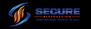 logo 6086a153146ee (1) Secure Restoration