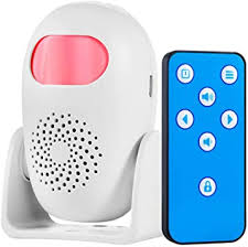 Motion Detector Alarm Picture Box