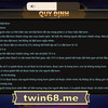 dat bom twin1 (1) - Twin