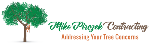 logo Mike Pirozek Contracting