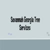 Savannah Georgia Tree Services - Picture Box