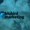 Blubird Marketing - Picture Box