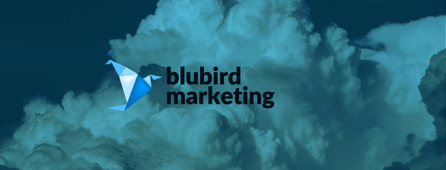 Blubird Marketing Picture Box