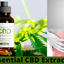 Essential CBD Extract Ecuad... - Essential CBD Extract Ecuador