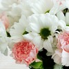 Florist in North Bellmore NY - Flower Shop in North Bellmo...