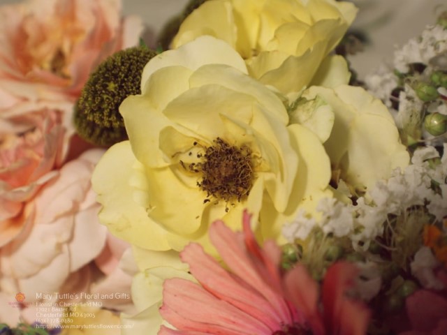 Easter Flowers Chesterfield MO Flower Shop in Chesterfield, MO