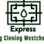 logo - Oriental Rug Cleaning Westchester