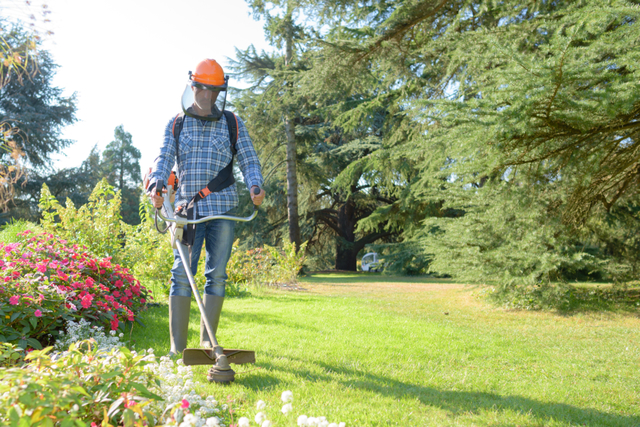 Landscape-Maintenance-vs Lush Landscapes