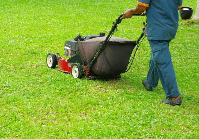 Midland-TX-Lawns-Lawn-Service-Monthly-Maintenance- Lush Landscapes