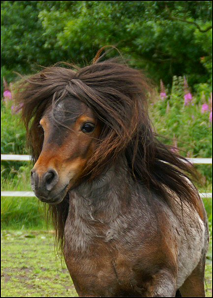 97327014 895447667598151 8176420320471678976 n - oz