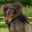 97327014 895447667598151 81... - oz